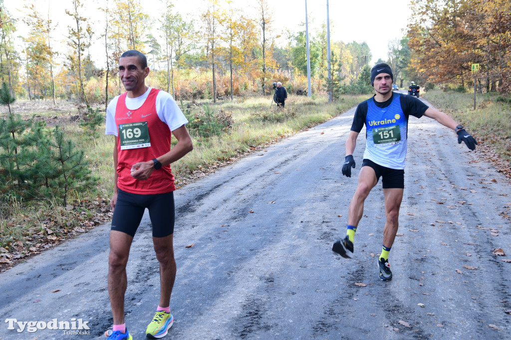 XVI Bieg św. Huberta / START – nordic walking i bieg