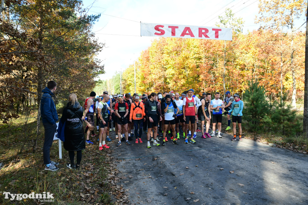 XVI Bieg św. Huberta / START – nordic walking i bieg