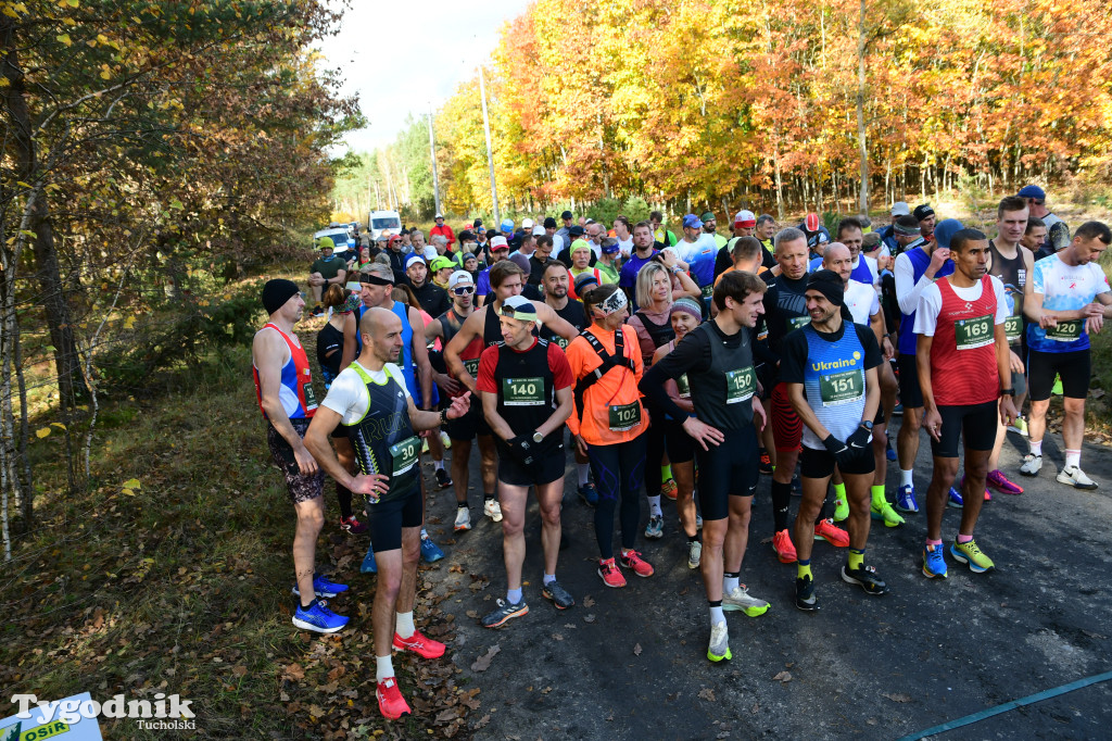 XVI Bieg św. Huberta / START – nordic walking i bieg