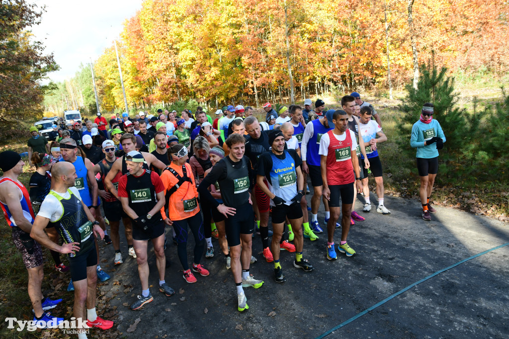 XVI Bieg św. Huberta / START – nordic walking i bieg