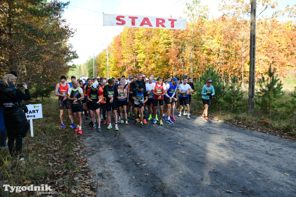 XVI Bieg św. Huberta / START – nordic walking i bieg