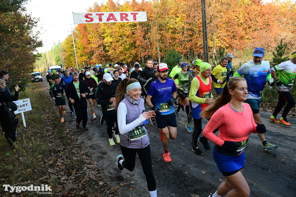XVI Bieg św. Huberta / START – nordic walking i bieg