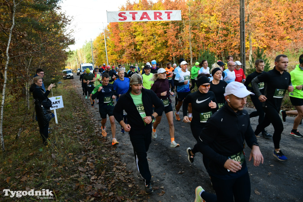 XVI Bieg św. Huberta / START – nordic walking i bieg