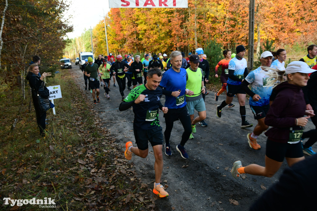 XVI Bieg św. Huberta / START – nordic walking i bieg