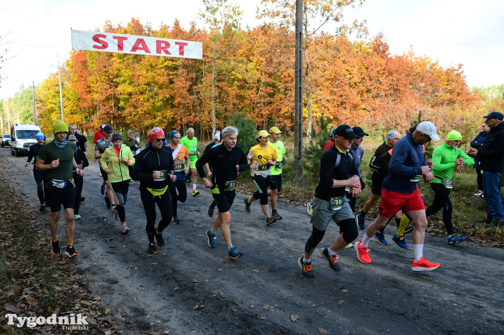 XVI Bieg św. Huberta / START – nordic walking i bieg