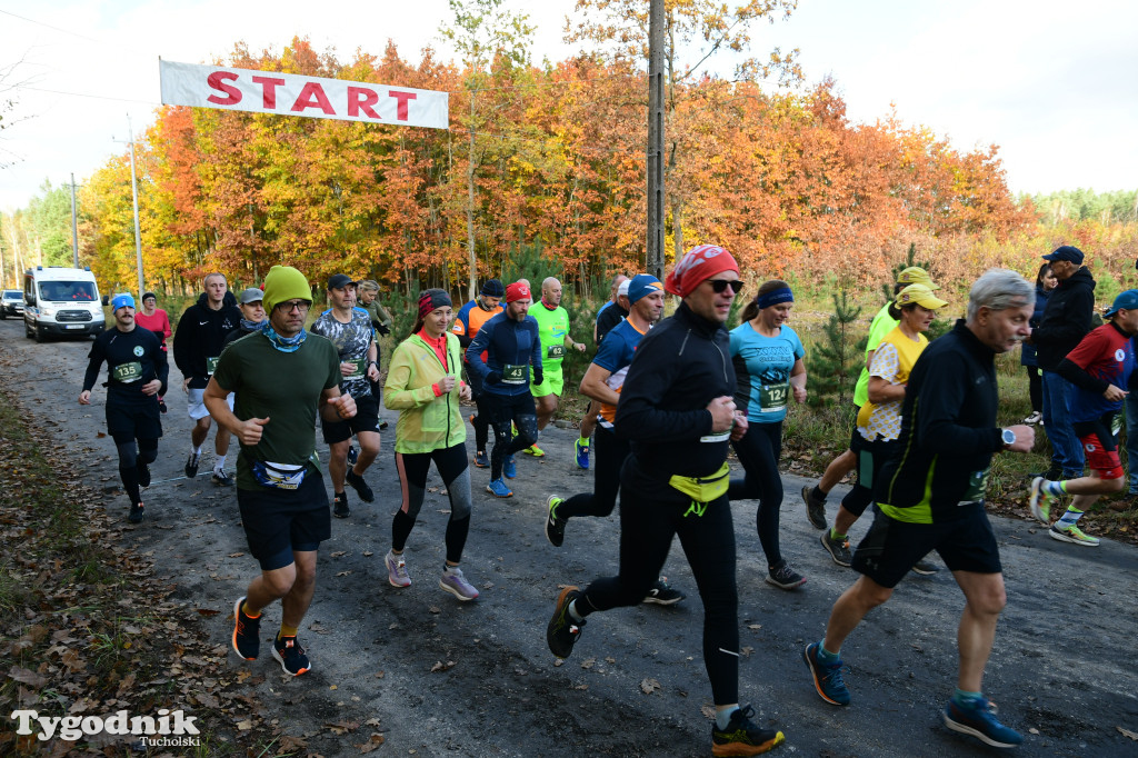 XVI Bieg św. Huberta / START – nordic walking i bieg
