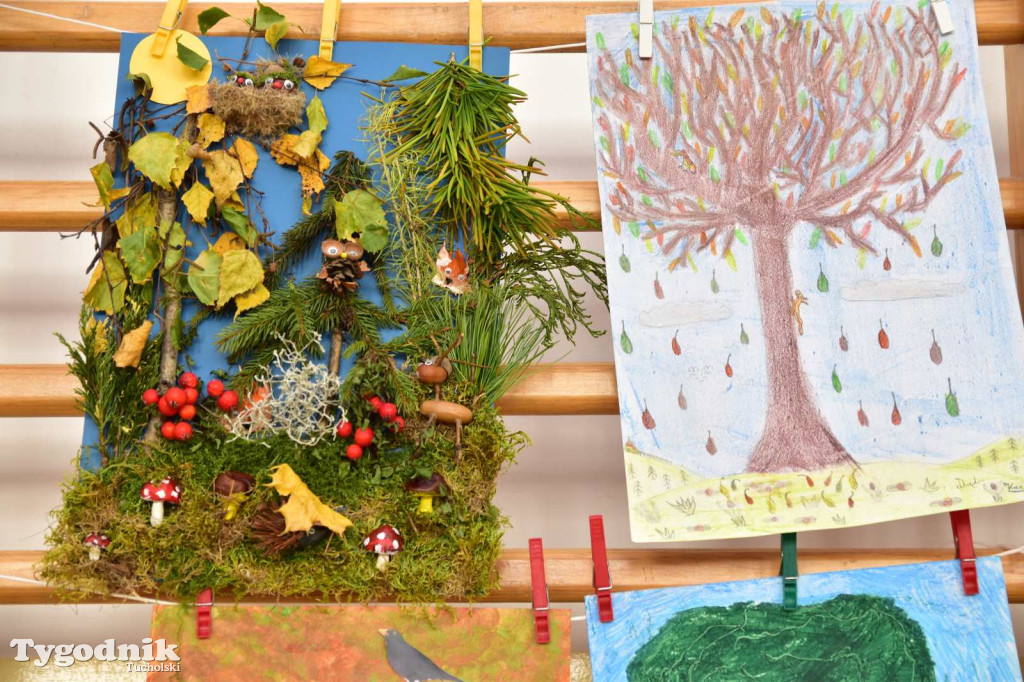 20. edycja konkursu pn. Przyroda wokół nas