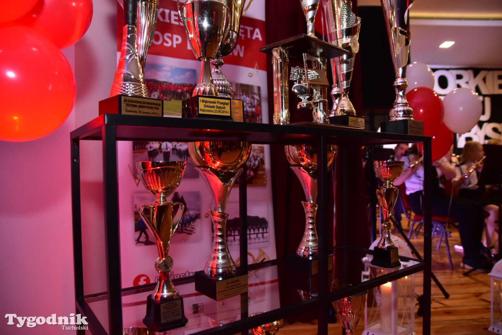 Orkiestra Dęta OSP Bysław od 15 lat zachwyca swoją grą