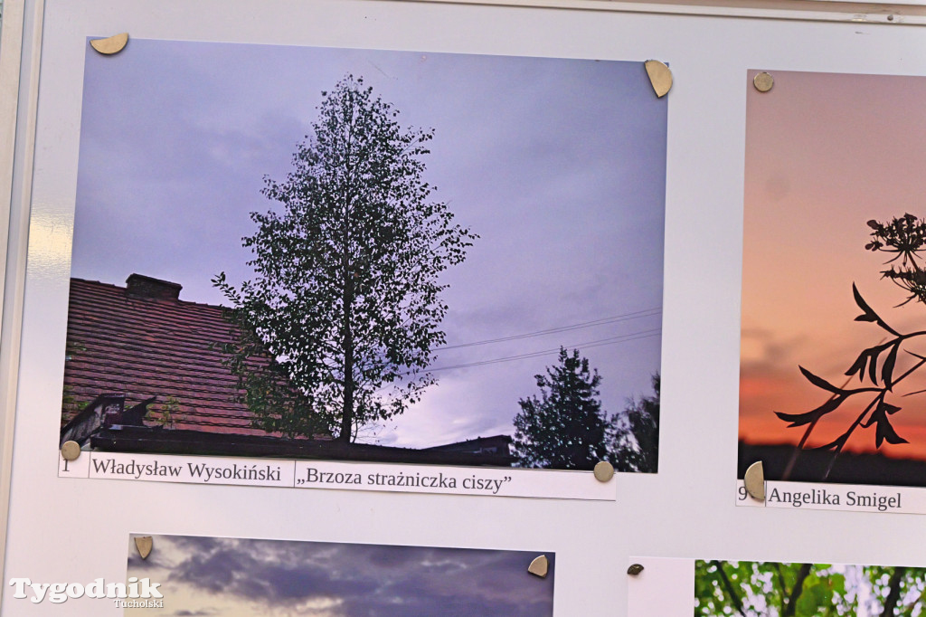 Cekcyn i konkurs fotograficzny z niebem w tle