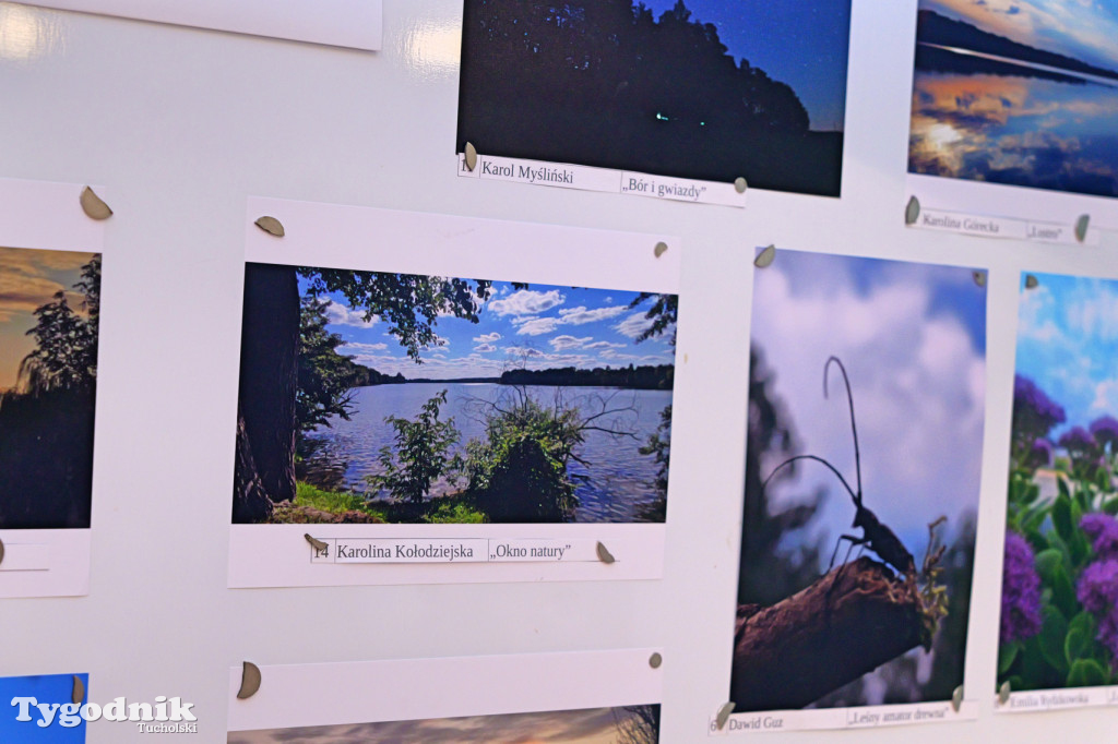 Cekcyn i konkurs fotograficzny z niebem w tle