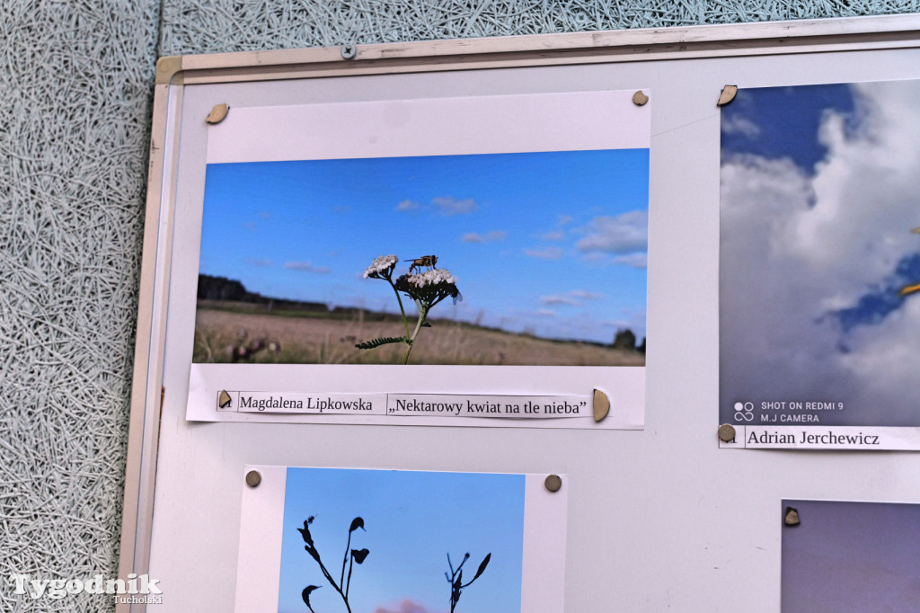 Cekcyn i konkurs fotograficzny z niebem w tle