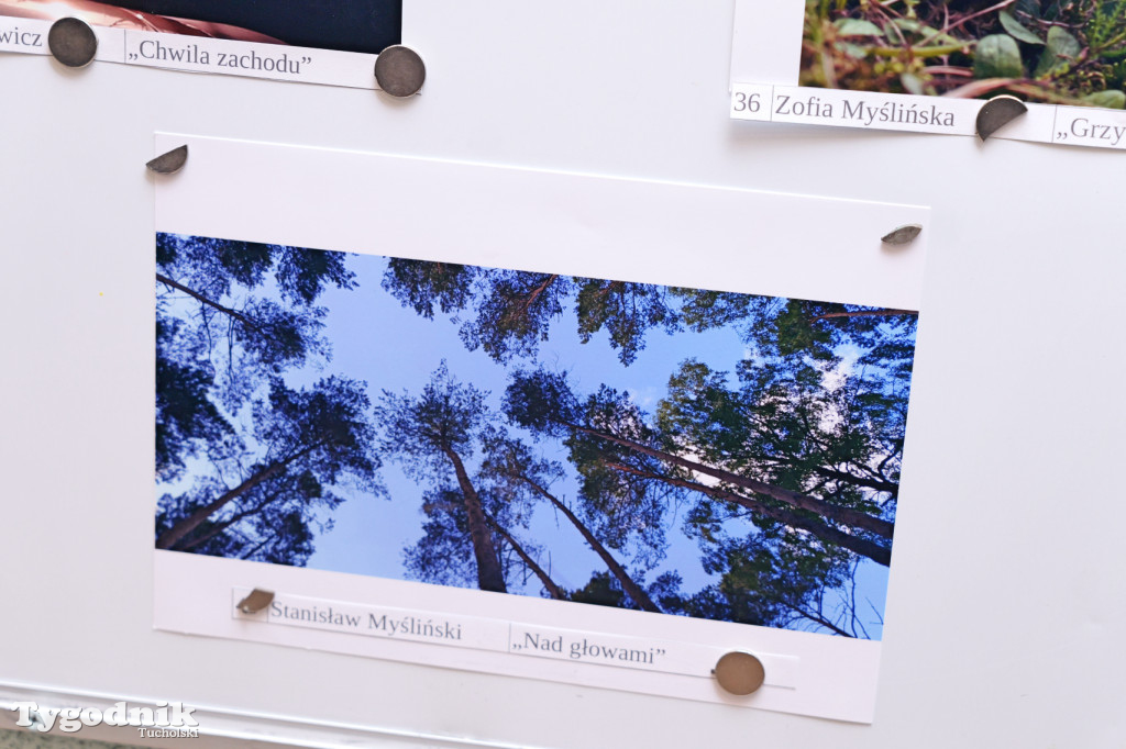 Cekcyn i konkurs fotograficzny z niebem w tle