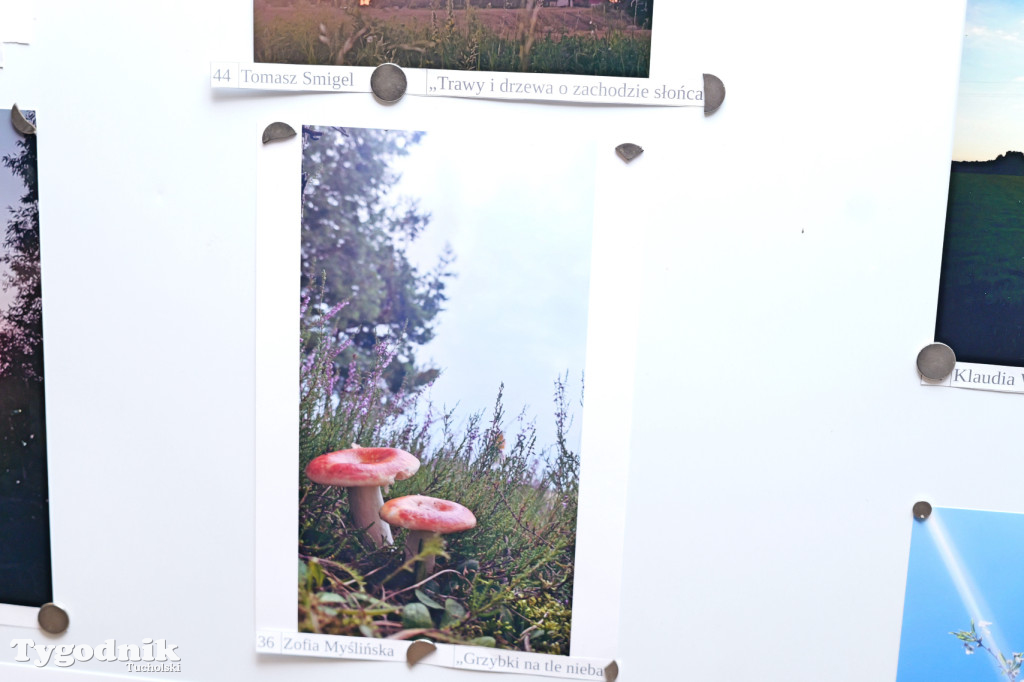 Cekcyn i konkurs fotograficzny z niebem w tle