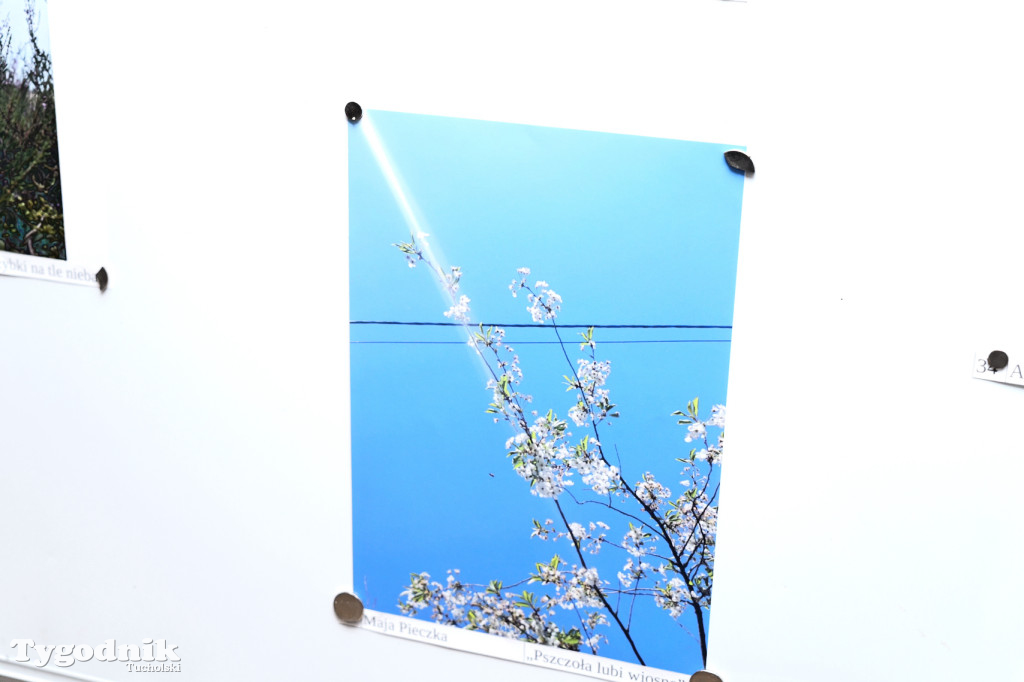 Cekcyn i konkurs fotograficzny z niebem w tle