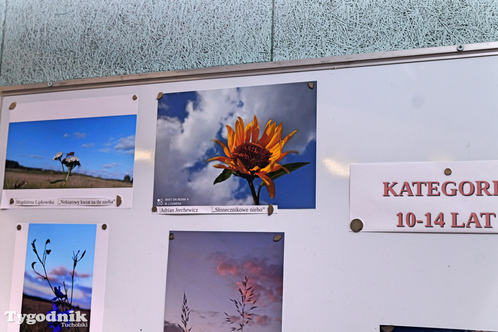 Cekcyn i konkurs fotograficzny z niebem w tle