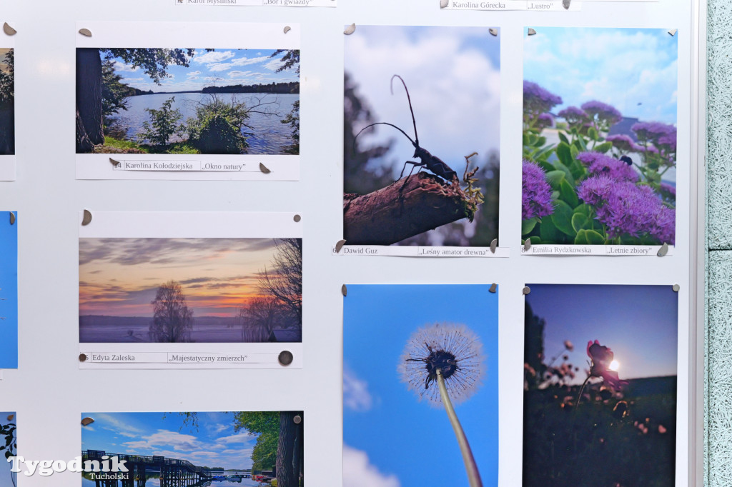 Cekcyn i konkurs fotograficzny z niebem w tle