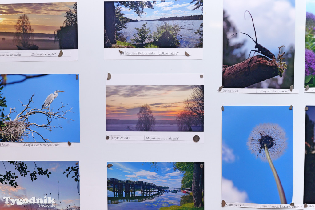 Cekcyn i konkurs fotograficzny z niebem w tle