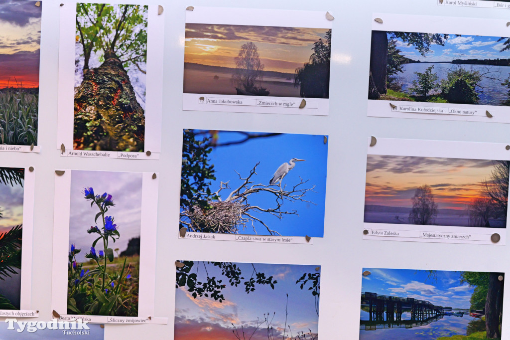 Cekcyn i konkurs fotograficzny z niebem w tle