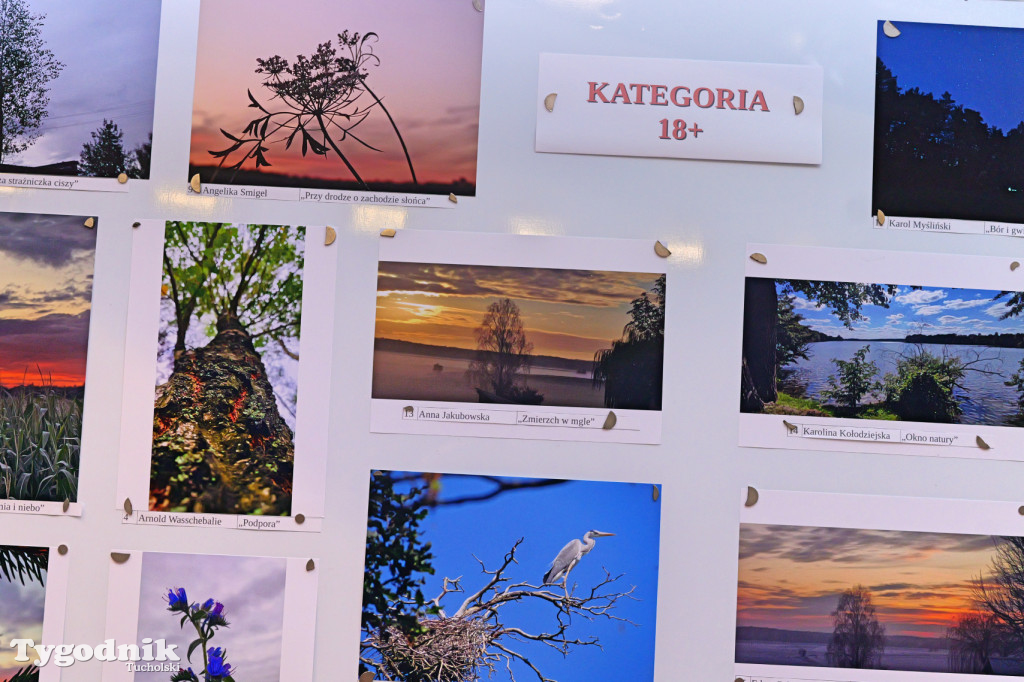 Cekcyn i konkurs fotograficzny z niebem w tle