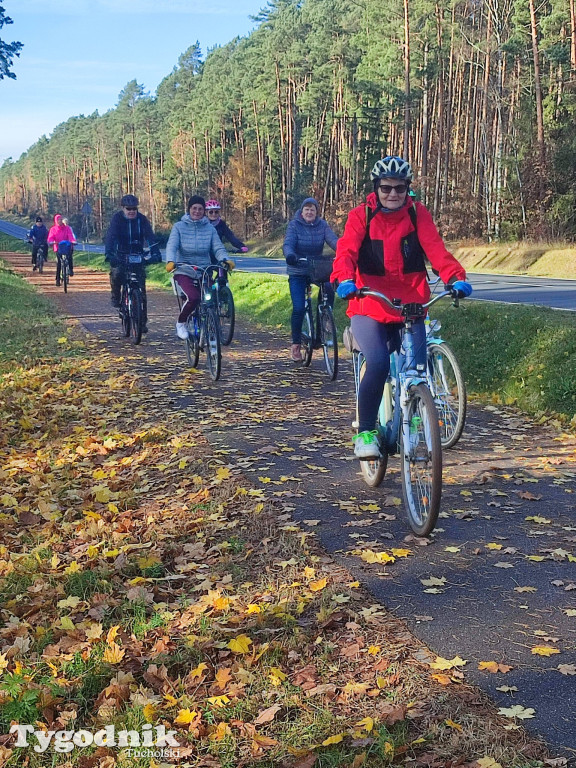 Rowerem przez Bory Tucholskie na... lasoterapię