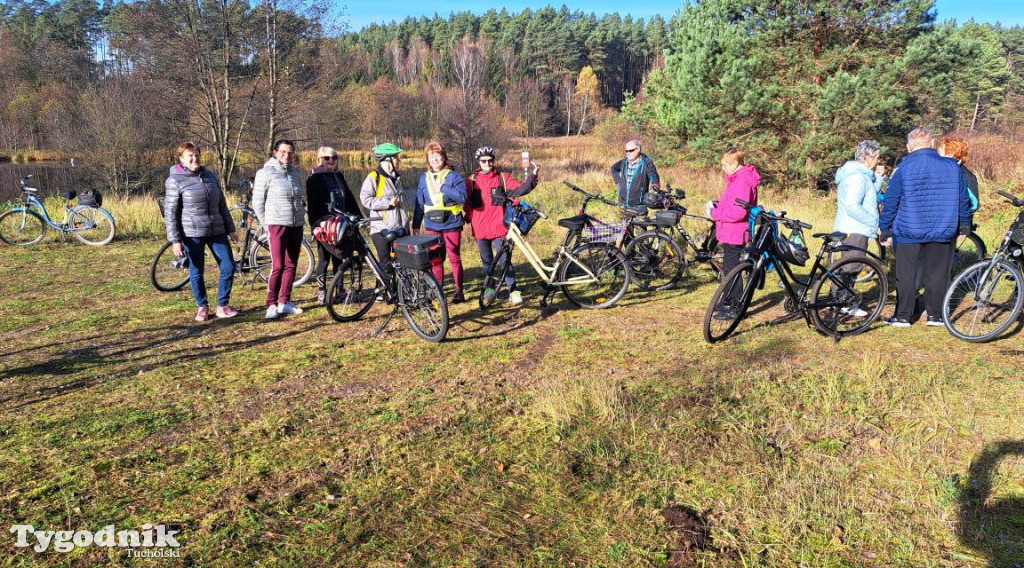 Rowerem przez Bory Tucholskie na... lasoterapię