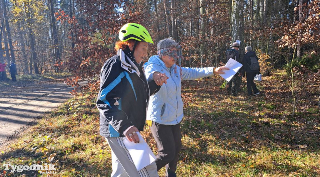 Rowerem przez Bory Tucholskie na... lasoterapię