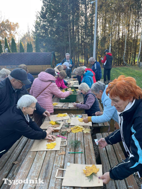 Rowerem przez Bory Tucholskie na... lasoterapię