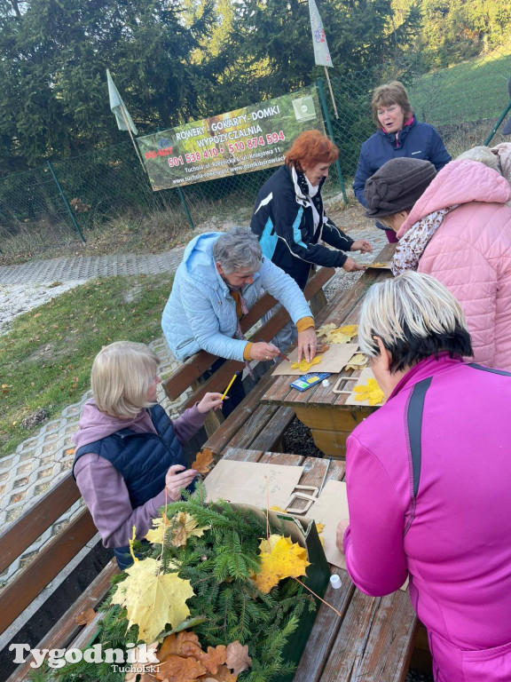 Rowerem przez Bory Tucholskie na... lasoterapię