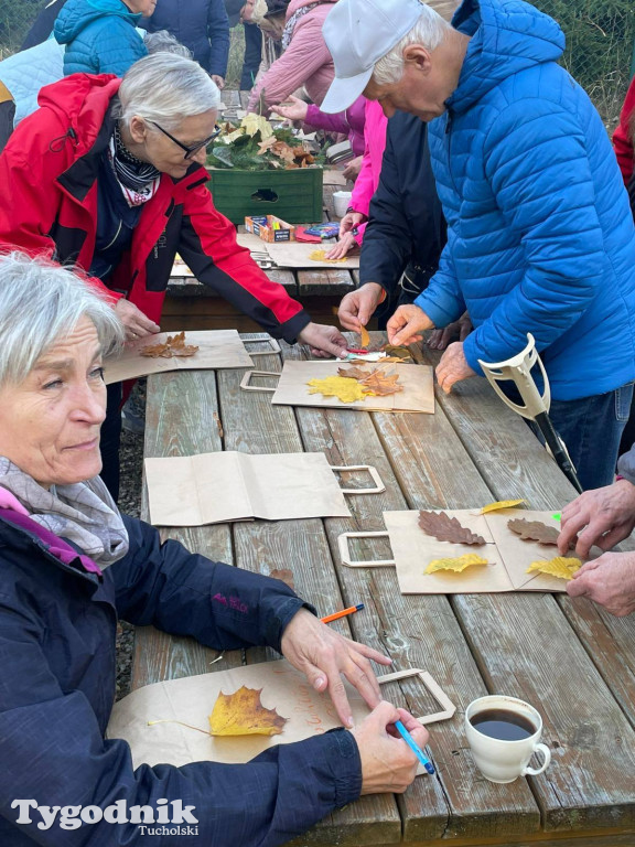 Rowerem przez Bory Tucholskie na... lasoterapię