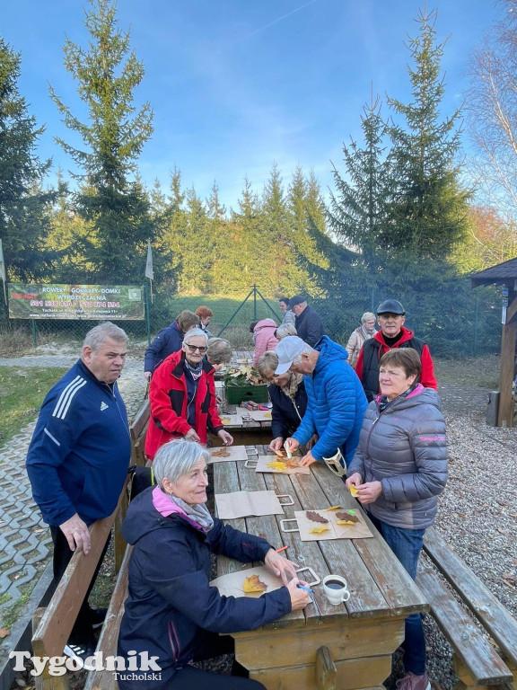 Rowerem przez Bory Tucholskie na... lasoterapię