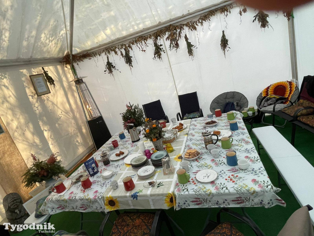 Rowerem przez Bory Tucholskie na... lasoterapię