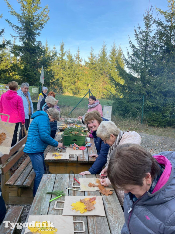 Rowerem przez Bory Tucholskie na... lasoterapię