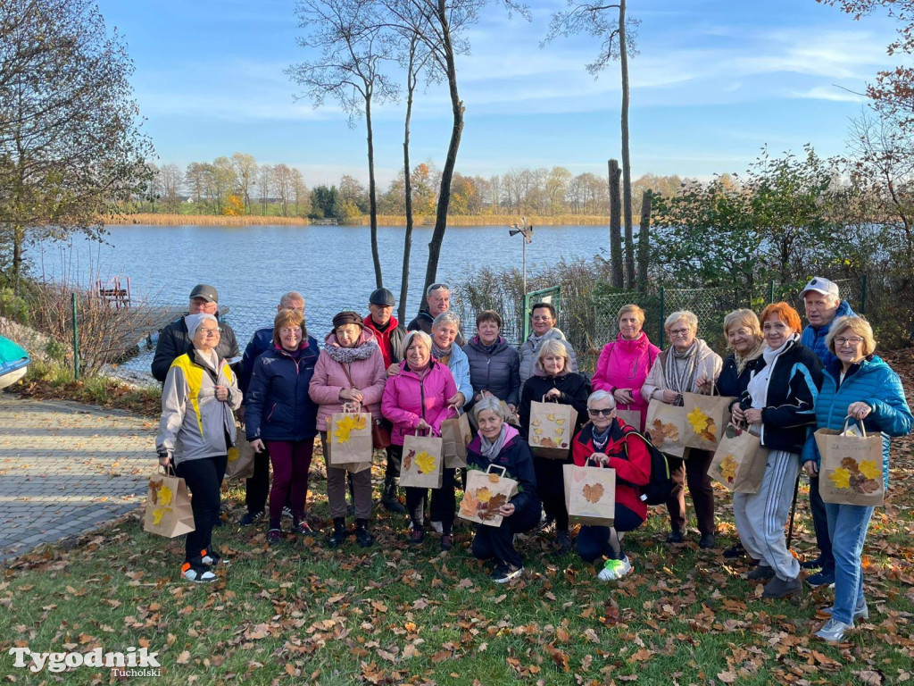 Rowerem przez Bory Tucholskie na... lasoterapię