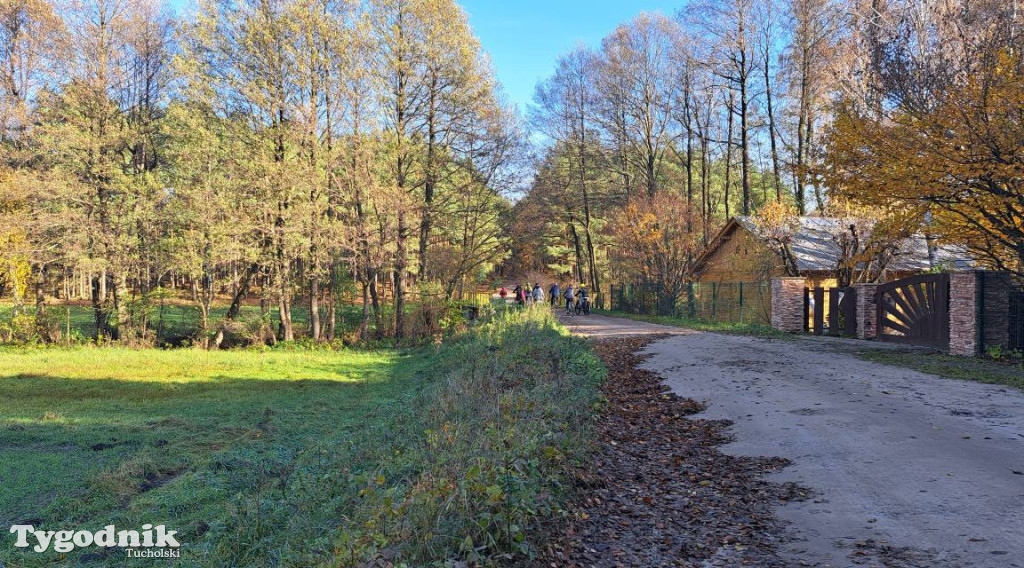 Rowerem przez Bory Tucholskie na... lasoterapię