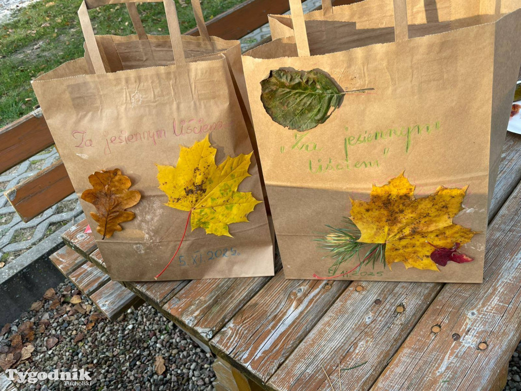 Rowerem przez Bory Tucholskie na... lasoterapię