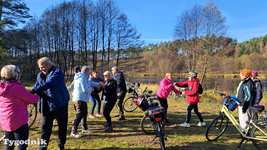 Rowerem przez Bory Tucholskie na... lasoterapię