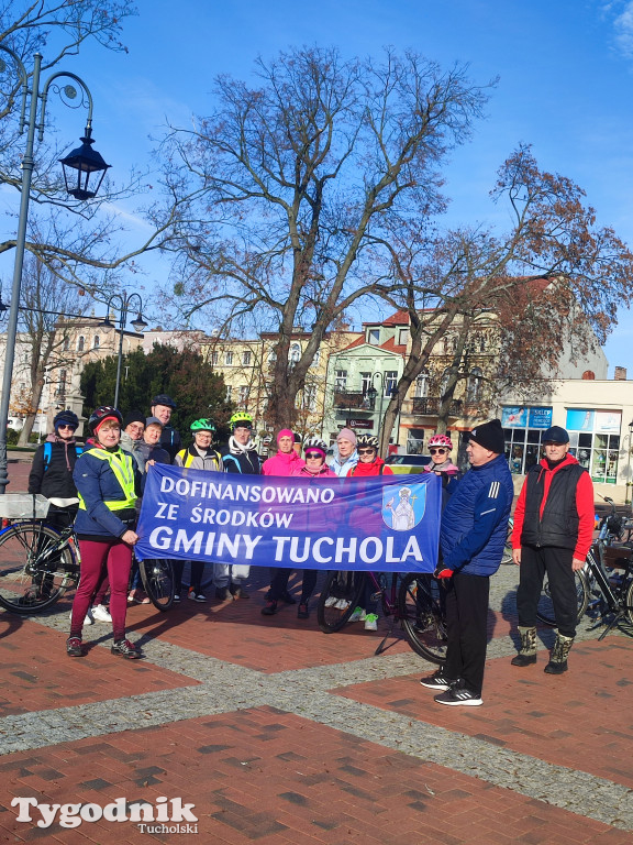 Rowerem przez Bory Tucholskie na... lasoterapię