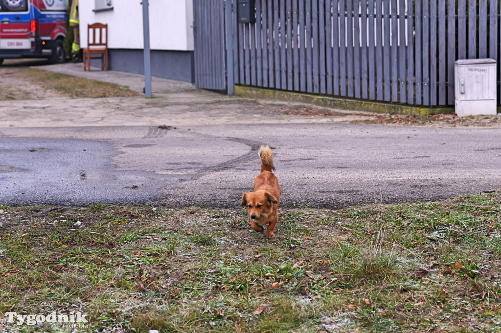 Pożar w Lińsku. Dramatyczne sceny. Dwie osoby poparzone