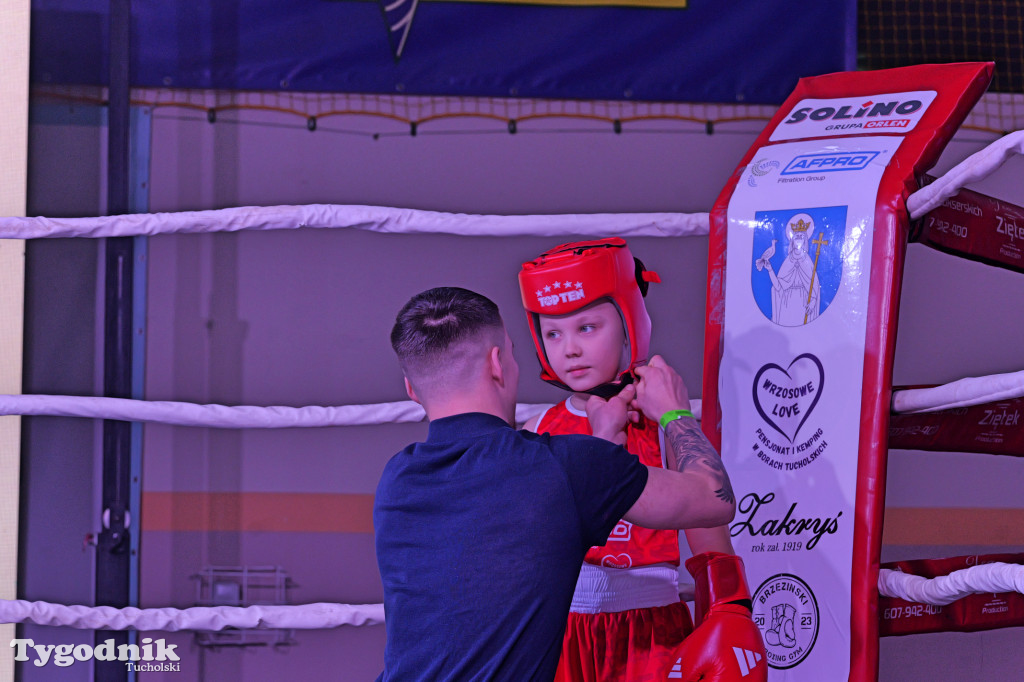 Afpro Tucholska Gala Boksu - Walczymy, aby pomagać