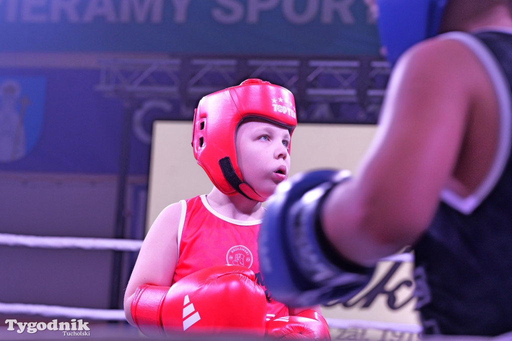 Afpro Tucholska Gala Boksu - Walczymy, aby pomagać