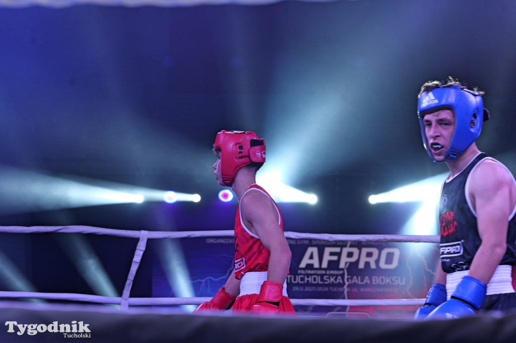 Afpro Tucholska Gala Boksu - Walczymy, aby pomagać