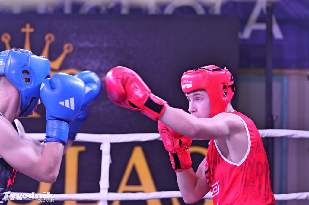 Afpro Tucholska Gala Boksu - Walczymy, aby pomagać