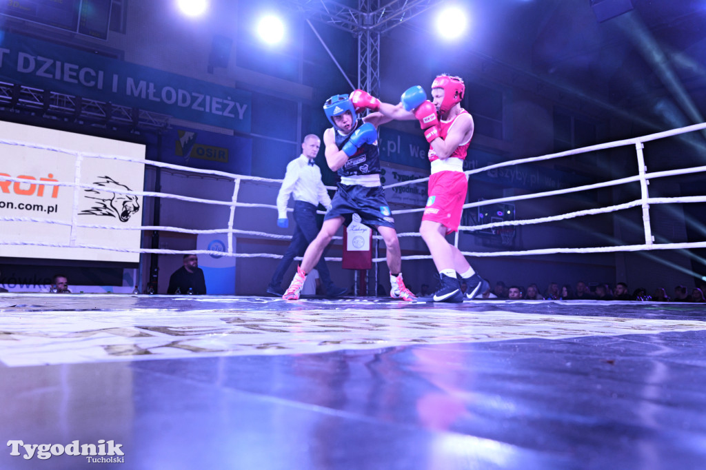 Afpro Tucholska Gala Boksu - Walczymy, aby pomagać