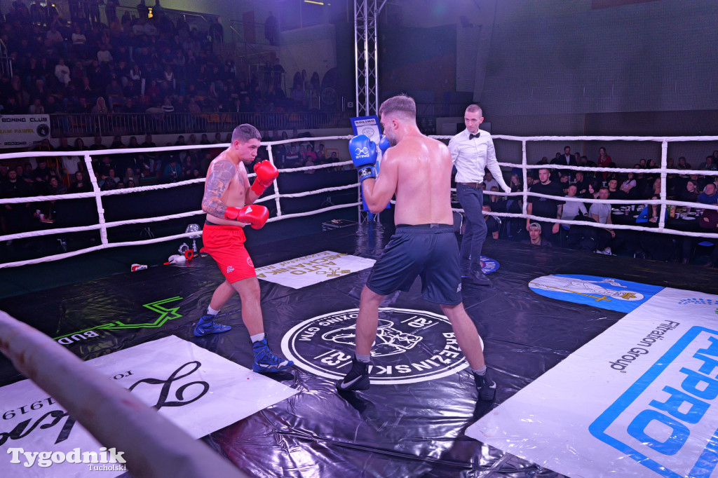 Afpro Tucholska Gala Boksu - Walczymy, aby pomagać