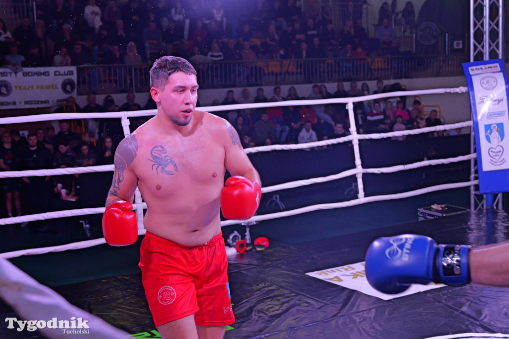 Afpro Tucholska Gala Boksu - Walczymy, aby pomagać