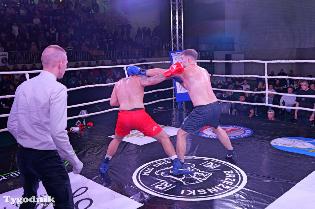 Afpro Tucholska Gala Boksu - Walczymy, aby pomagać