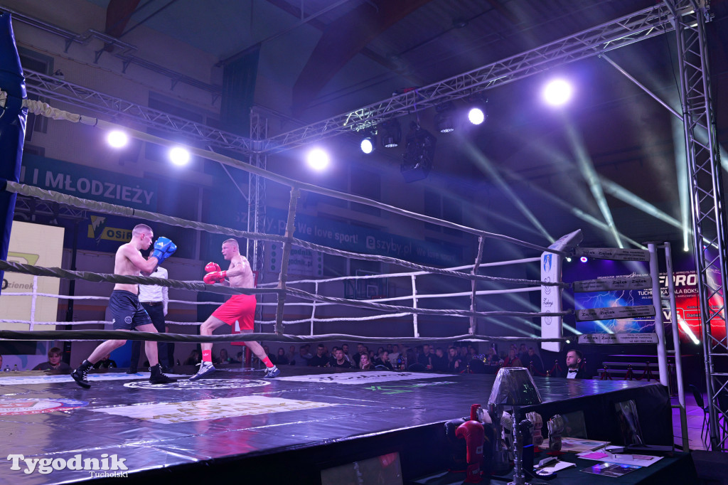 Afpro Tucholska Gala Boksu - Walczymy, aby pomagać