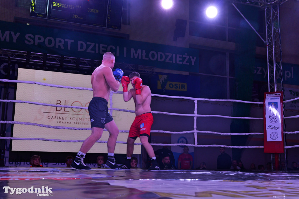 Afpro Tucholska Gala Boksu - Walczymy, aby pomagać