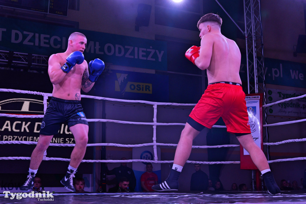 Afpro Tucholska Gala Boksu - Walczymy, aby pomagać