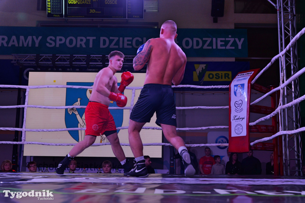 Afpro Tucholska Gala Boksu - Walczymy, aby pomagać